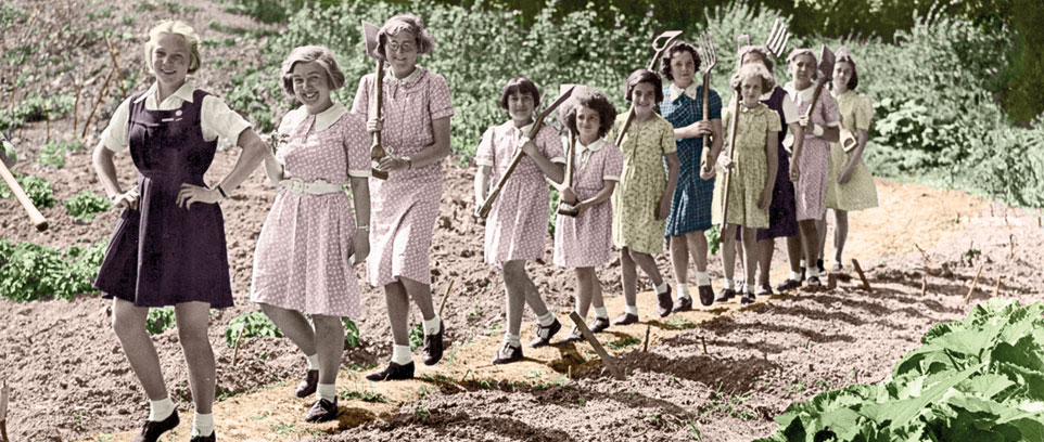 <strong>Digging for Victory</strong> - Gardens & Gardening in Wartime Britain